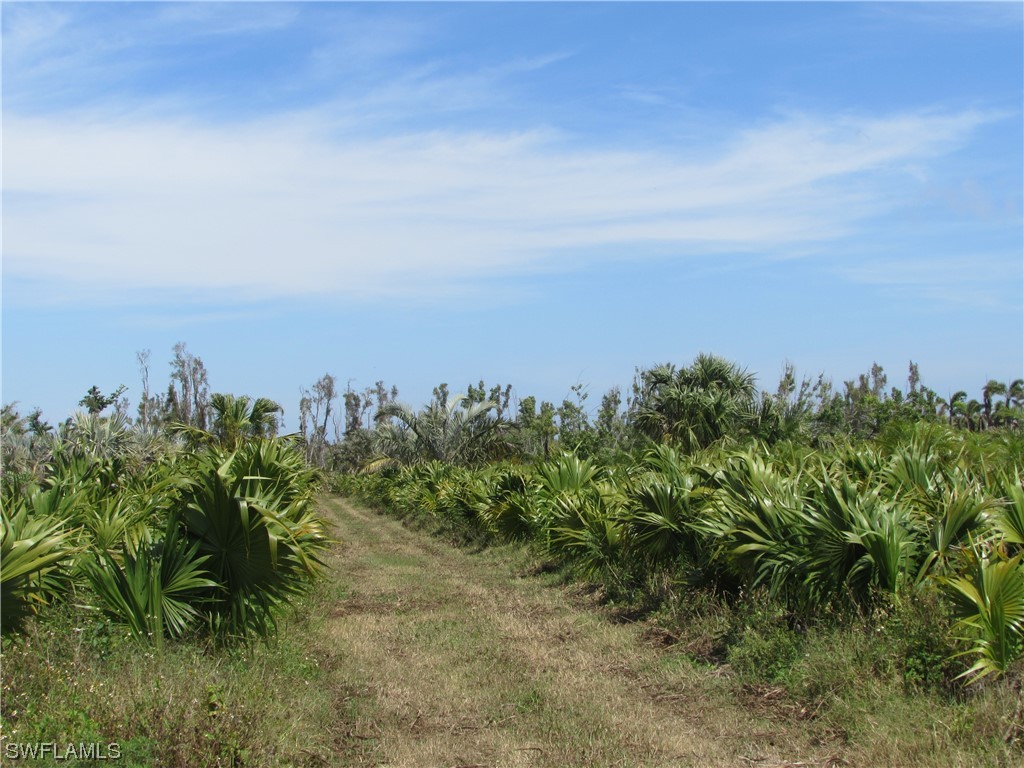 13350 Stringfellow Road Bokeelia, FL 33922 - Photo 31 of 46 an aerial view of a residential houses with city view