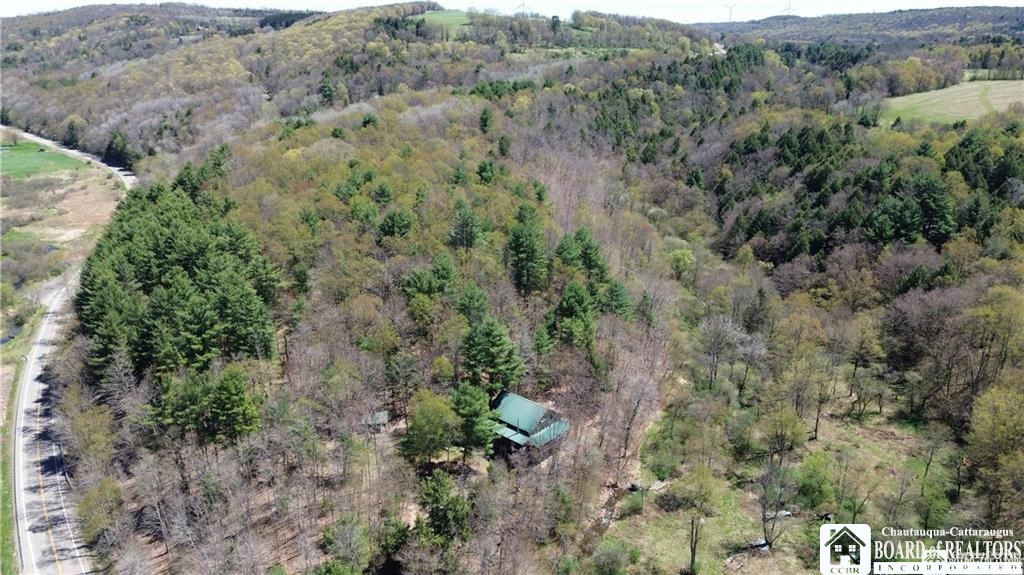 235 State Rte 248 Rexville, NY 14877 - Photo 36 of 50