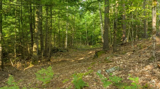$299,000 | 0 Old County Road, Leeds, ME 04263