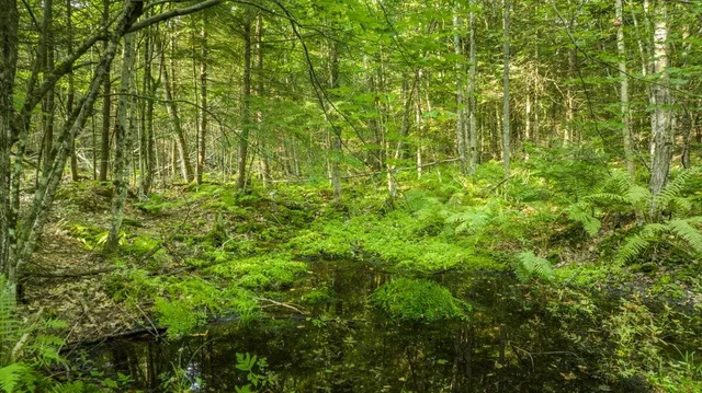 $299,000 | 0 Old County Road, Leeds, ME 04263