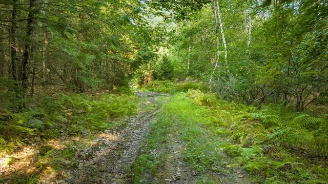 $299,000 | 0 Old County Road, Leeds, ME 04263
