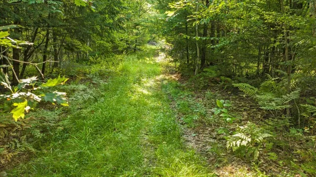 $299,000 | 0 Old County Road, Leeds, ME 04263