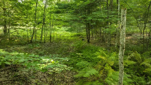 $299,000 | 0 Old County Road, Leeds, ME 04263