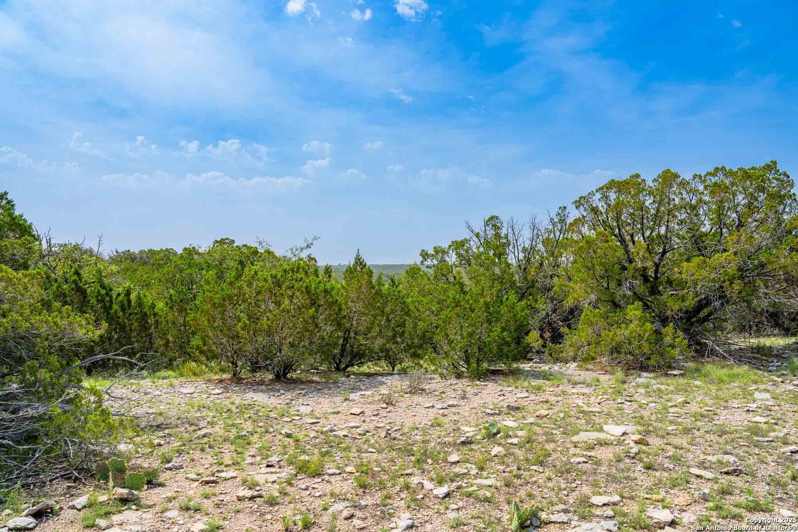 Tbd 74240th Rocksprings, TX 78880 - Photo 14 of 33 a view of a yard with a tree