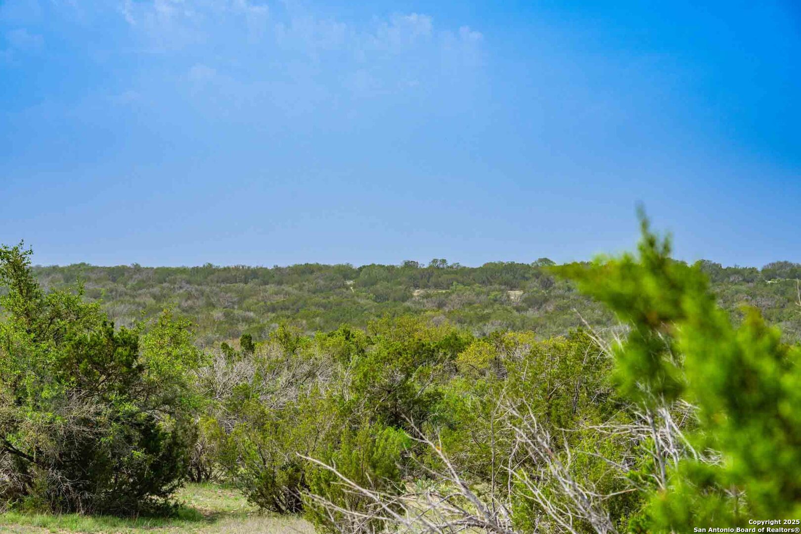 Tbd 74240th Rocksprings, TX 78880 - Photo 17 of 33 a view of a lush green field