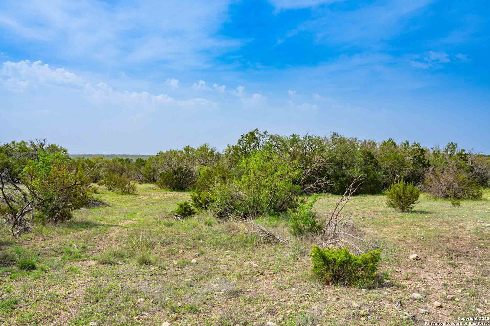 Tbd 74240th Rocksprings, TX 78880 - Photo 18 of 33 a view of a yard with a tree