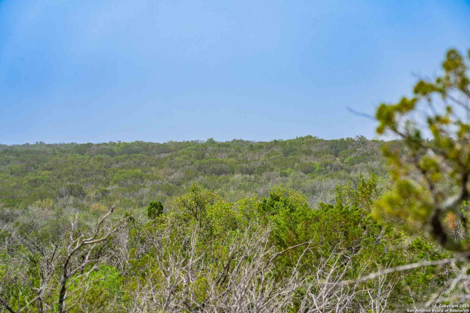 Tbd 74240th Rocksprings, TX 78880 - Photo 19 of 33 a view of a lush green space with sea