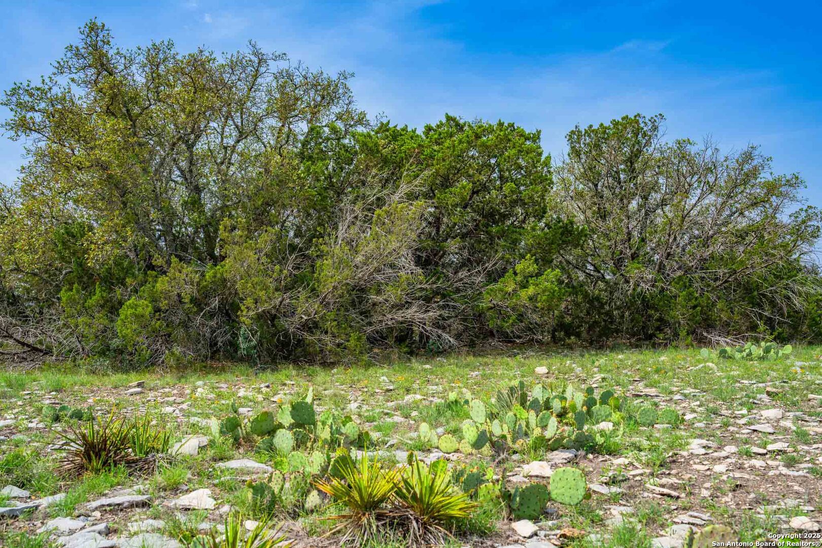 Tbd 74240th Rocksprings, TX 78880 - Photo 24 of 33 a view of outdoor space with a field and trees in the background