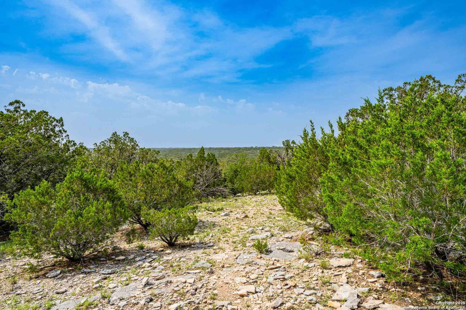 Tbd 74240th Rocksprings, TX 78880 - Photo 25 of 33 a view of a yard with a tree