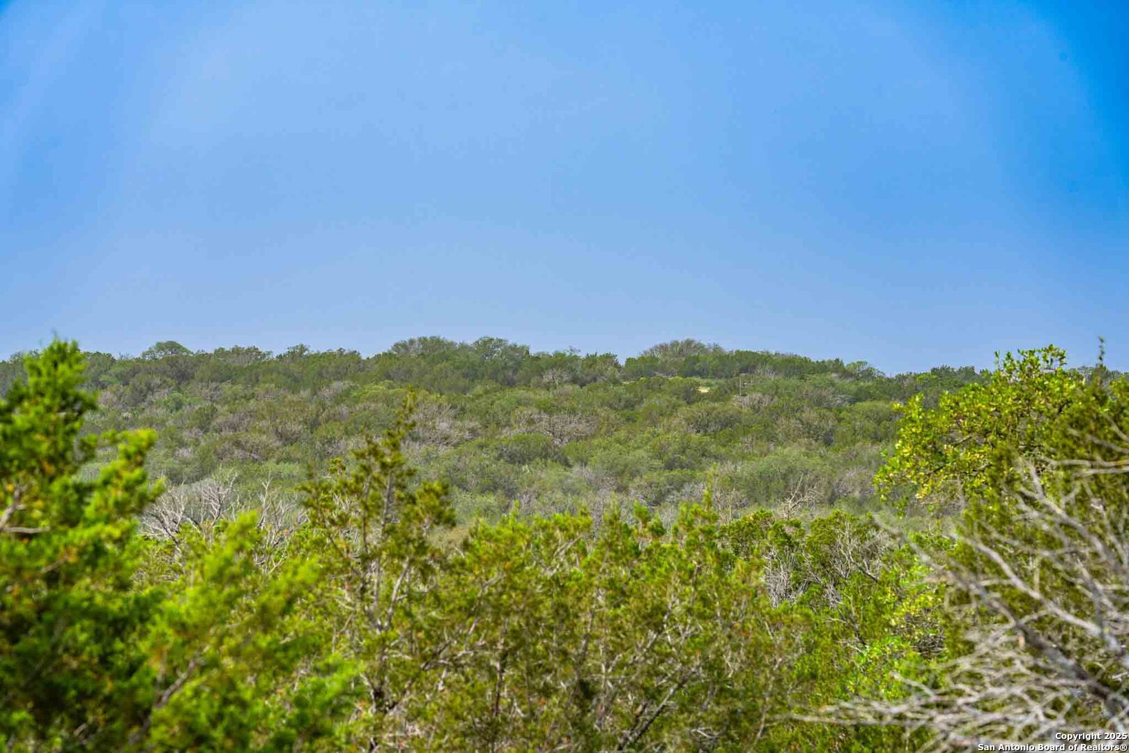 Tbd 74240th Rocksprings, TX 78880 - Photo 27 of 33 a view of a lush green space with sea