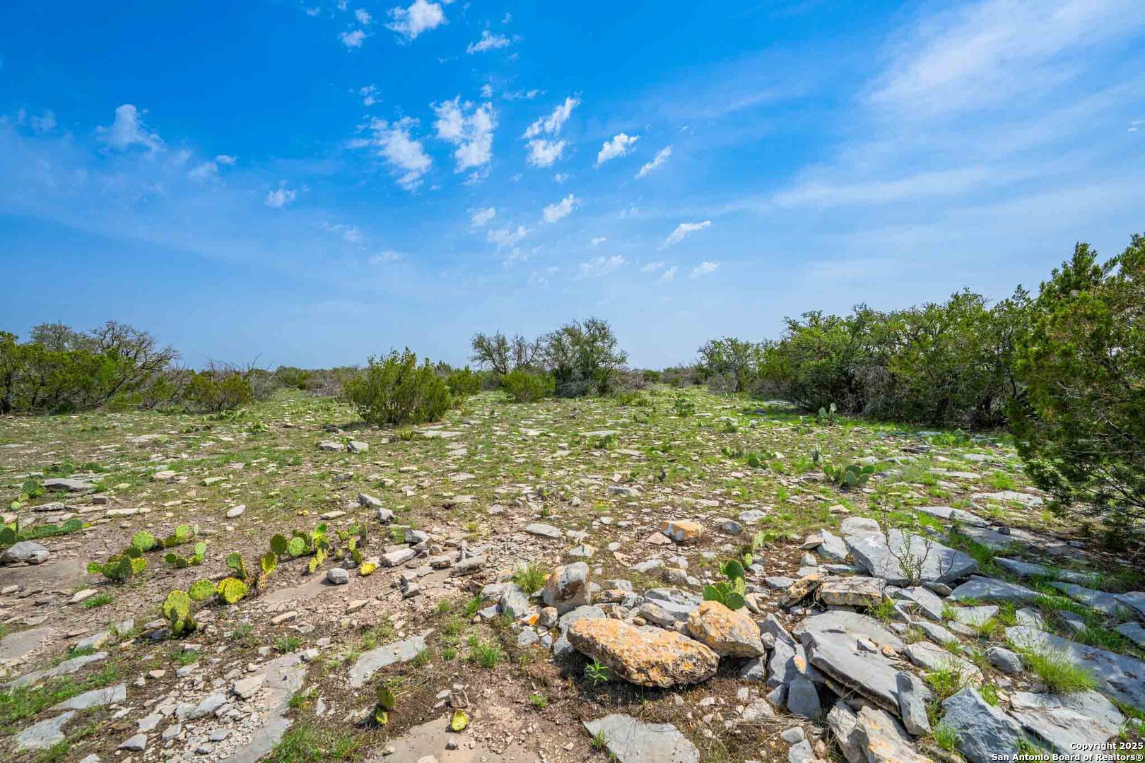 Tbd 74240th Rocksprings, TX 78880 - Photo 28 of 33 a view of a city with lush green forest