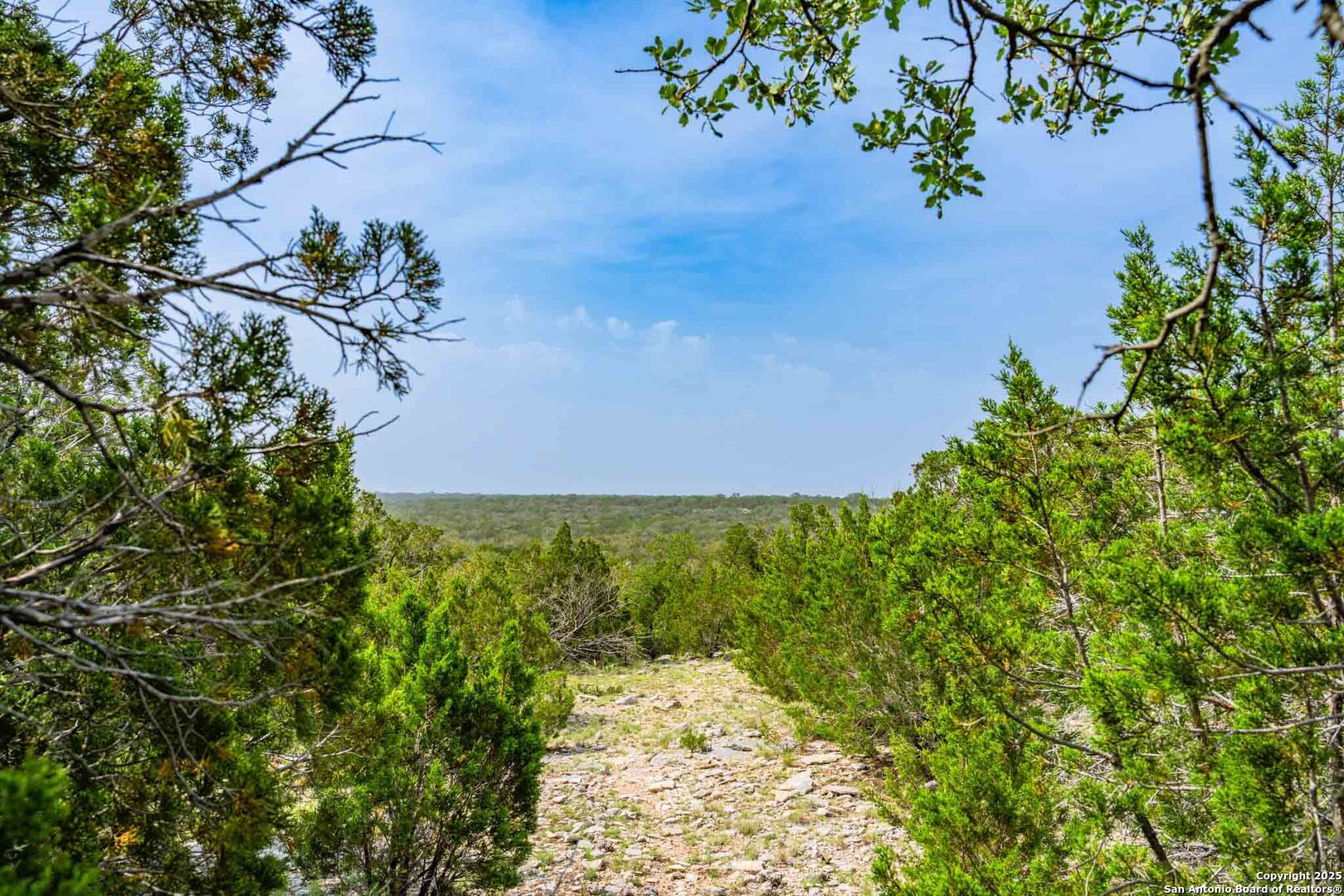 Tbd 74240th Rocksprings, TX 78880 - Photo 4 of 33 a view of a yard