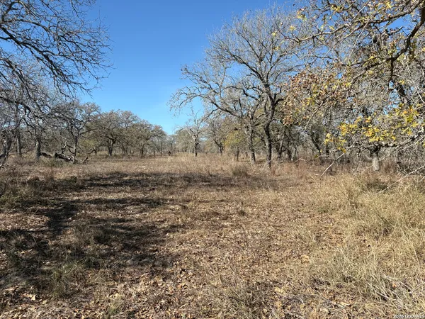 a view of dirt field with large trees