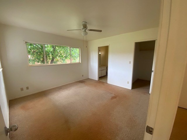 5176 Alii Road Hanapepe, HI 96716 - Photo 8 of 20 Gallery Image 8