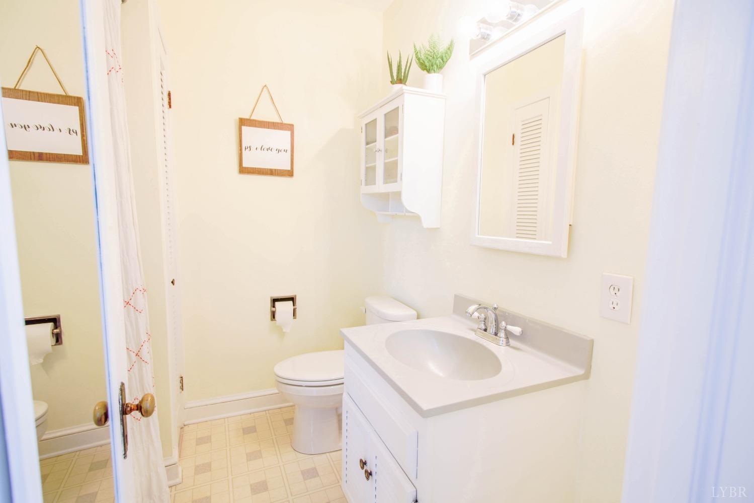 1861 Link Road Lynchburg, VA 24503 - Photo 72 of 99 a bathroom with a sink toilet and a mirror