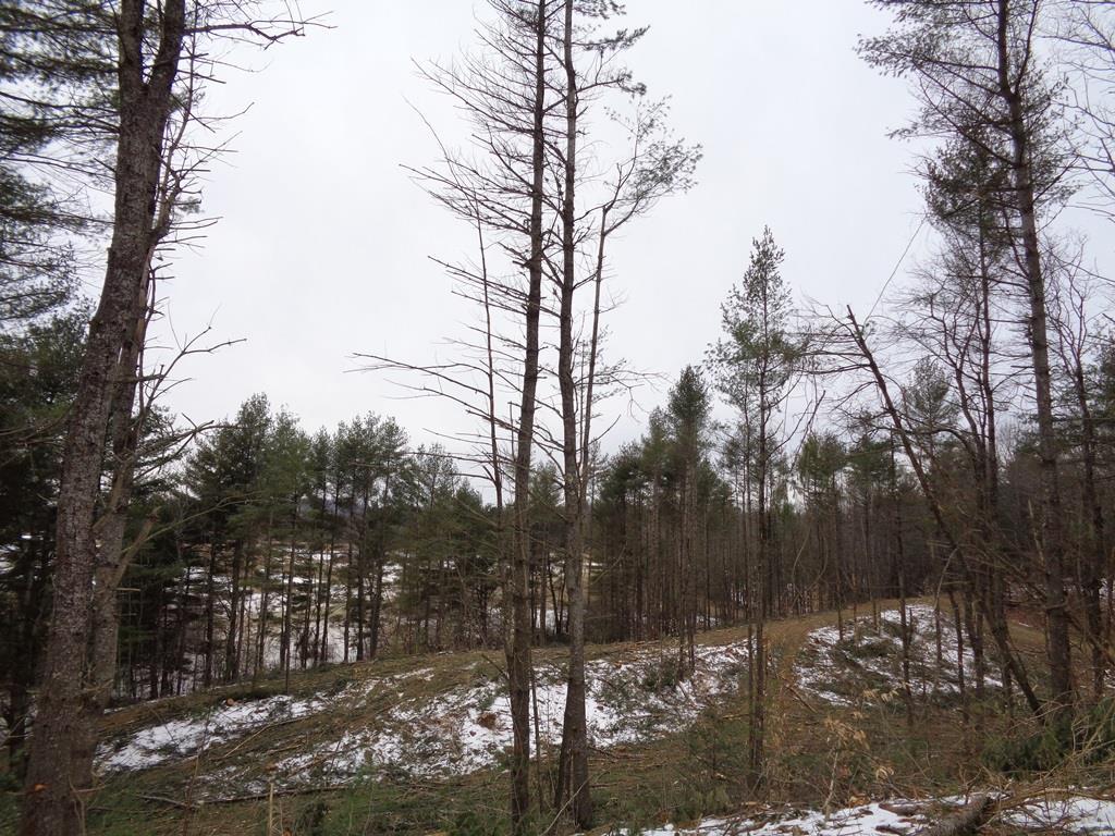 Map 5-lot Map 5-lot Mount Augusta, ME 04330 - Photo 15 of 18 Land/Lot