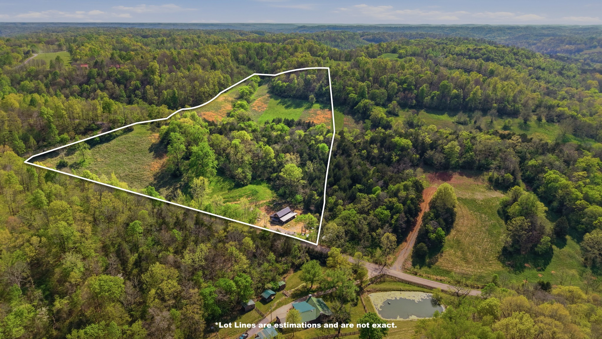 318 Robinson Road Dellrose, TN 38453 - Photo 43 of 56 a view of a forest