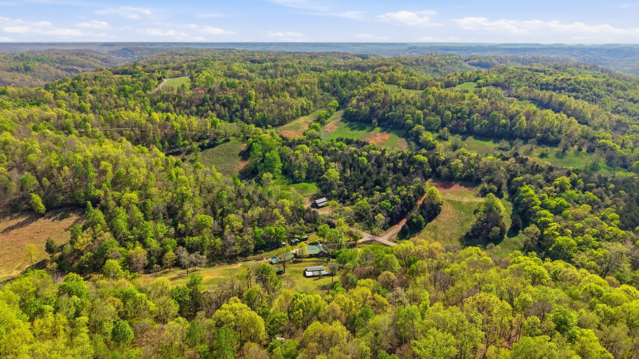 318 Robinson Road Dellrose, TN 38453 - Photo 46 of 56