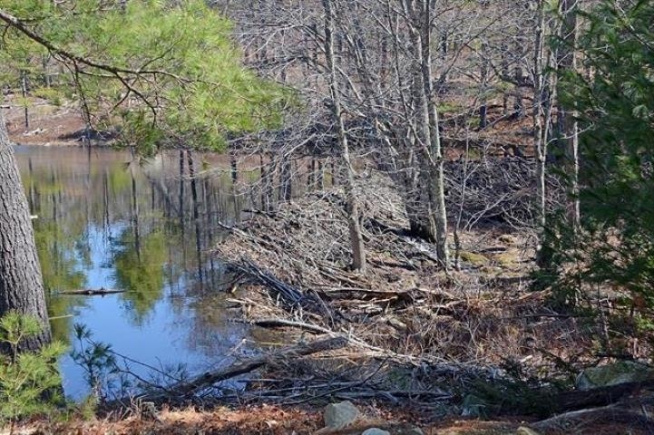 441 Sixth Range Road Pembroke, NH 03275 - Photo 22 of 32
