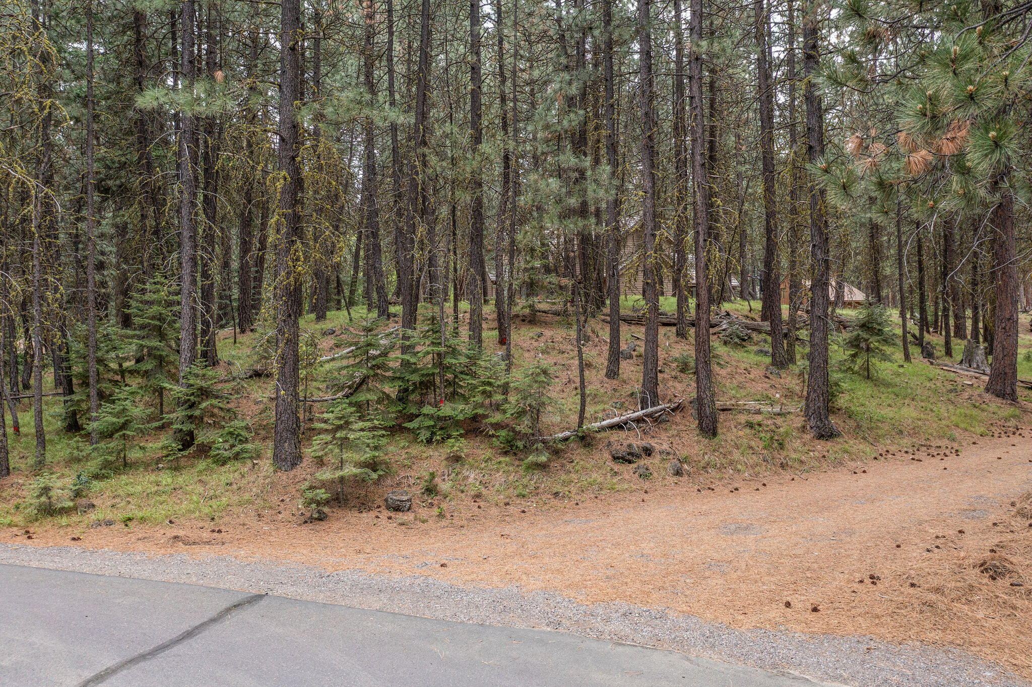 Undisclosed Address Black Butte Ranch, OR 97759 - Photo 6 of 24 a backyard of a house with lots of green space