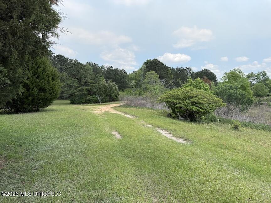 257 Magnolia Road Perkinston, MS 39573 - Photo 26 of 39 IMG_4593