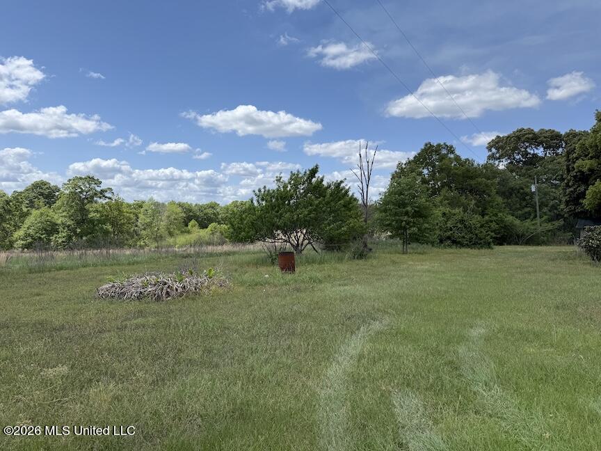 257 Magnolia Road Perkinston, MS 39573 - Photo 27 of 39 IMG_4595