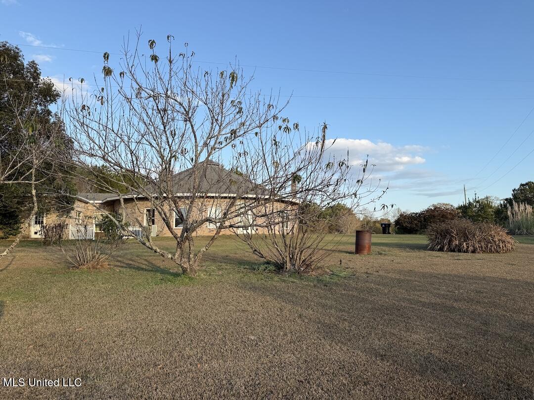 257 Magnolia Road Perkinston, MS 39573 - Photo 3 of 26 IMG_3691