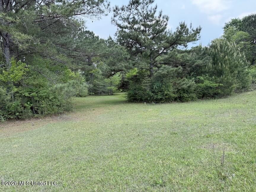 257 Magnolia Road Perkinston, MS 39573 - Photo 37 of 39 IMG_4606