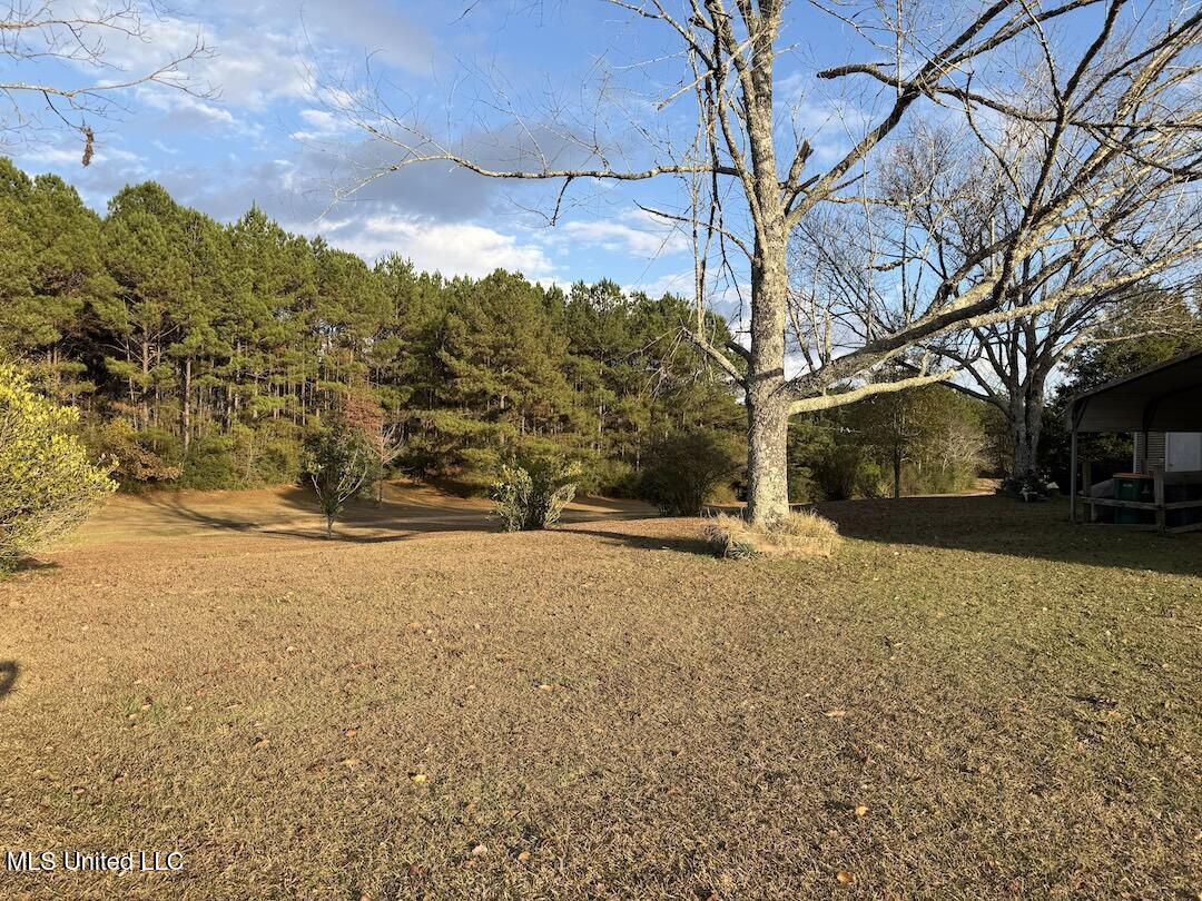 257 Magnolia Road Perkinston, MS 39573 - Photo 7 of 26 IMG_3670