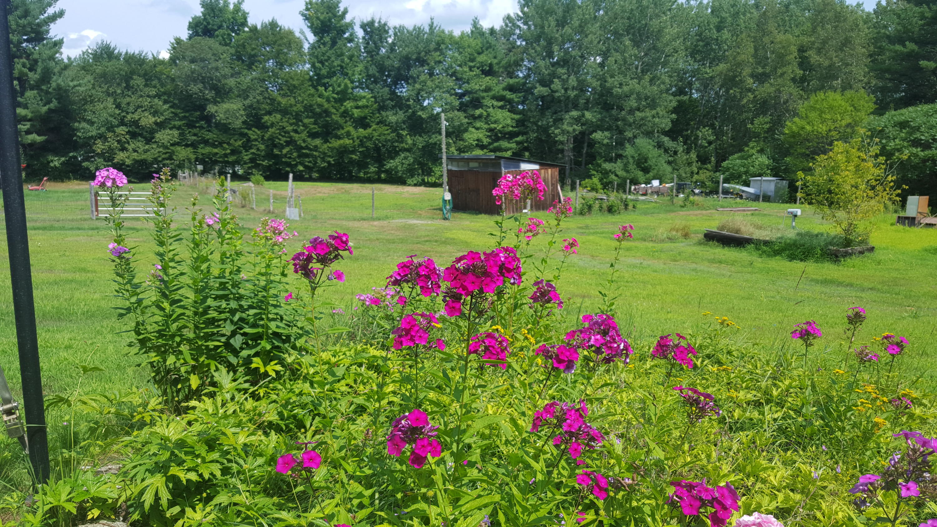 3183 Bennoch Road Old Town, ME 04468 - Photo 25 of 36 20180808_120756