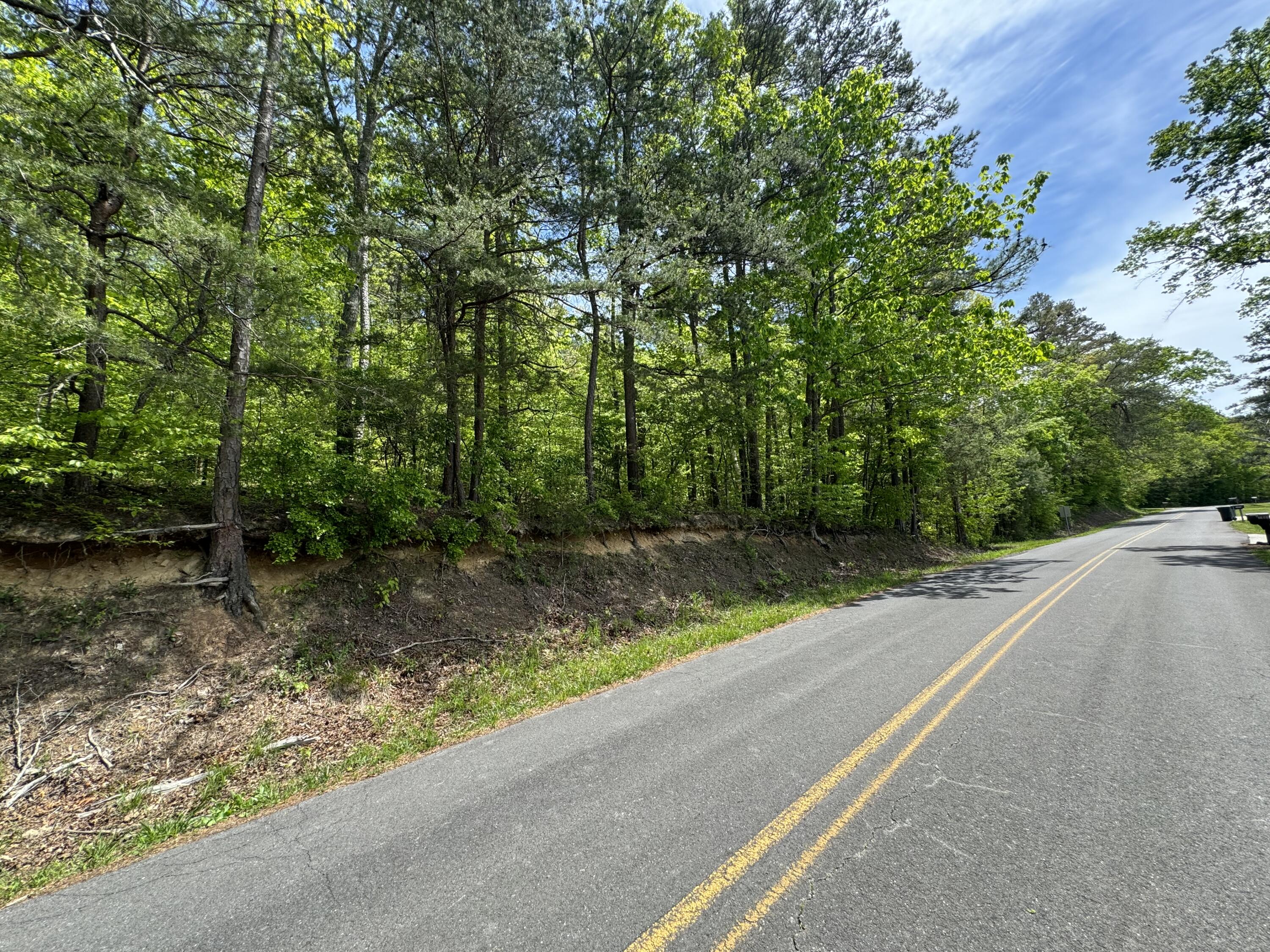 0 Wimpy Road Ringgold, GA 30736 - Photo 3 of 4 IMG_0156