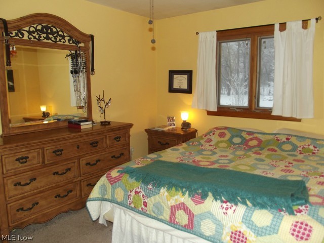 3541 Center Road Perry, OH 44081 - Photo 15 of 23