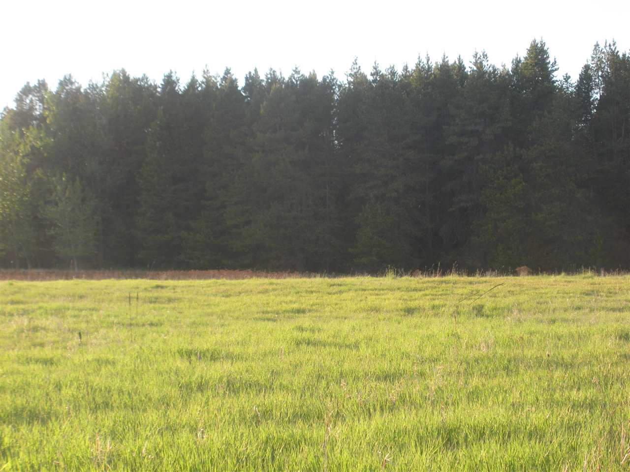 0 Burroughs Road Deer Park, WA 99006 - Photo 1 of 7 Gallery Image 1