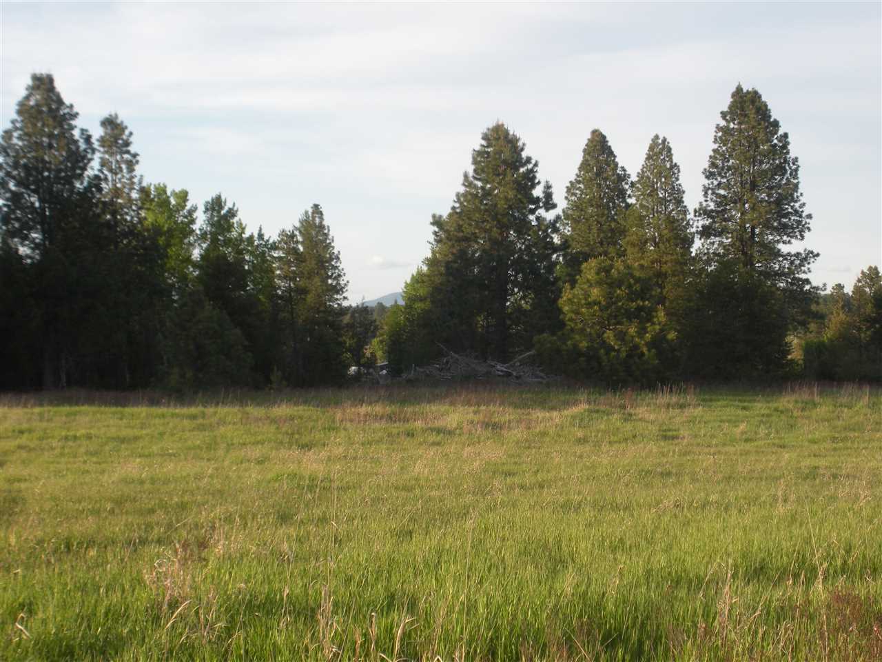 0 Burroughs Road Deer Park, WA 99006 - Photo 2 of 7 Gallery Image 2