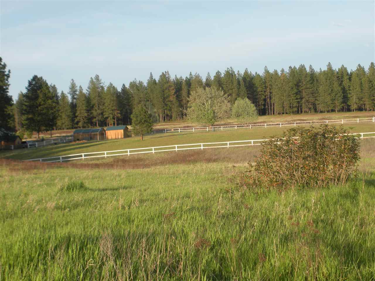 0 Burroughs Road Deer Park, WA 99006 - Photo 3 of 7 Gallery Image 3