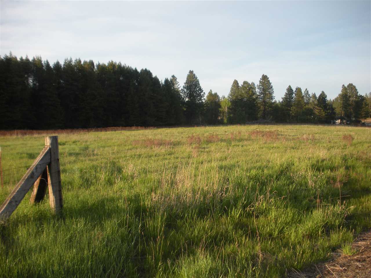 0 Burroughs Road Deer Park, WA 99006 - Photo 5 of 7 Gallery Image 5