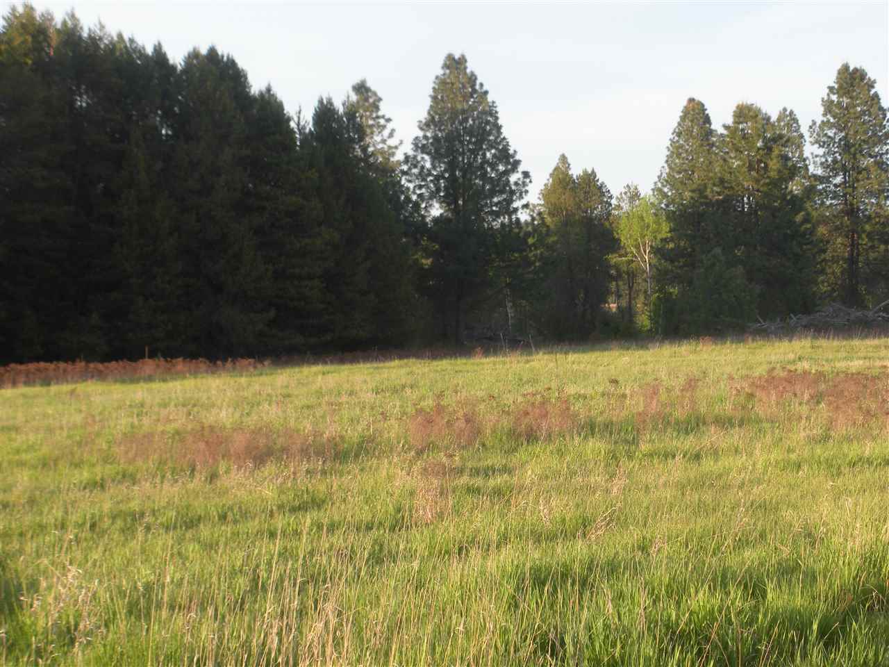 0 Burroughs Road Deer Park, WA 99006 - Photo 7 of 7 Gallery Image 7