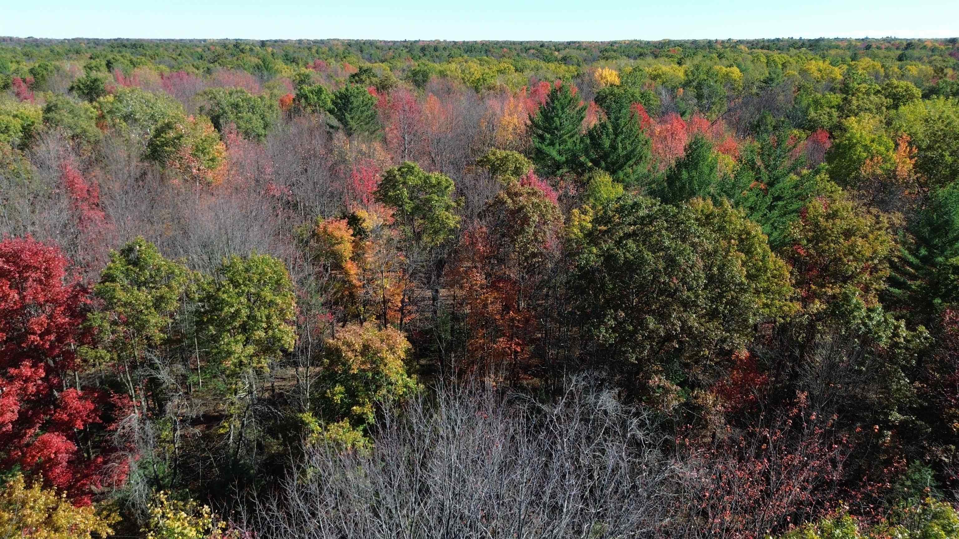 0 Timber Trail Prescott, MI 48756 - Photo 1 of 44