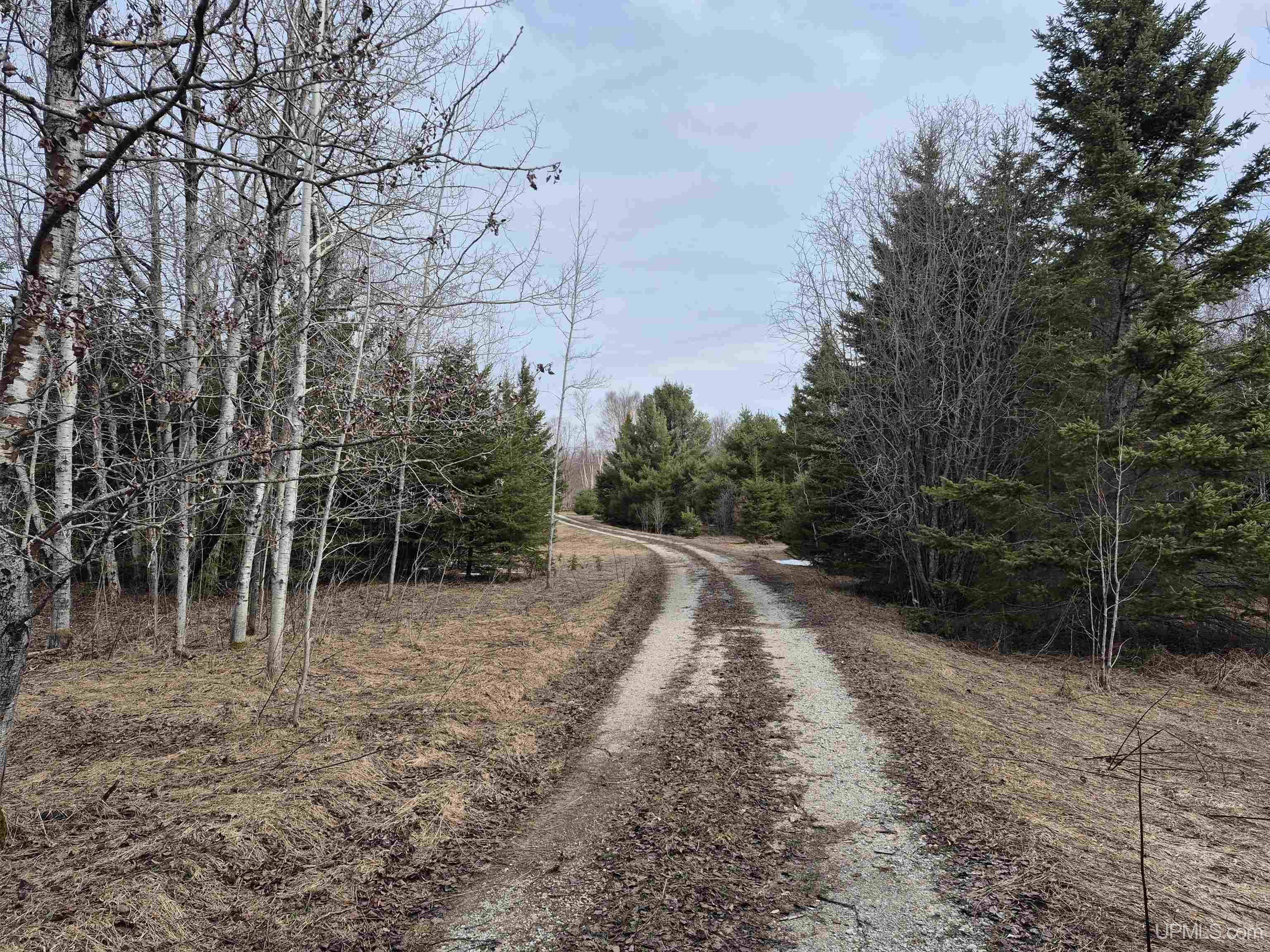 3754 Quarry Road Gulliver, MI 49840 - Photo 1 of 77