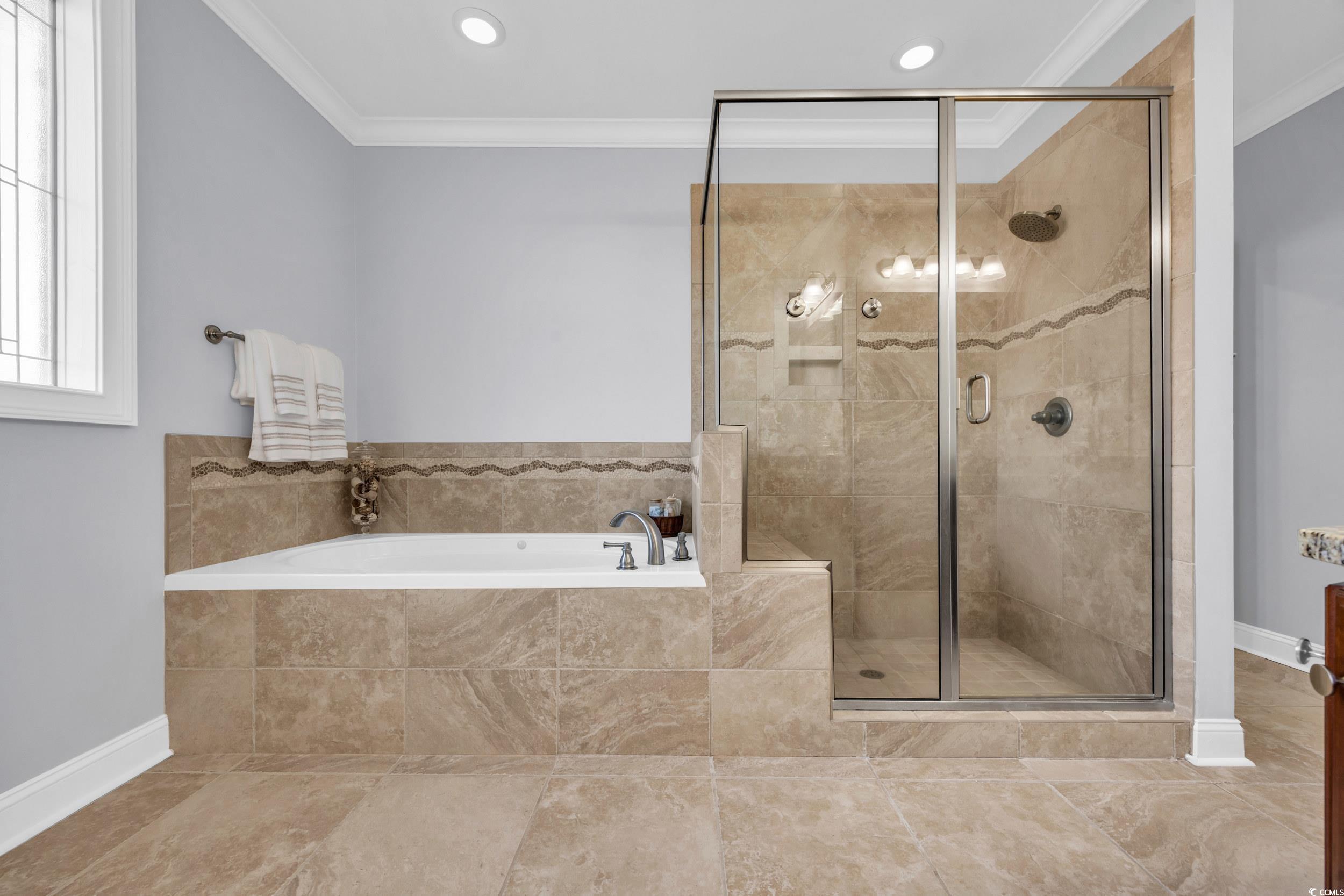 212 Minnow Lane Murrells Inlet, SC 29576 - Photo 16 of 37 Bathroom featuring crown molding and plus walk in