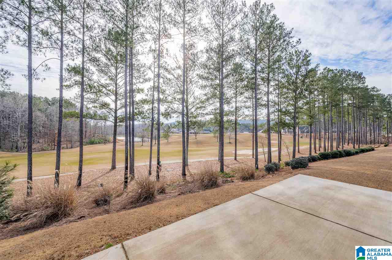 322 Kilkerran Lane Pelham, AL 35124 - Photo 43 of 48