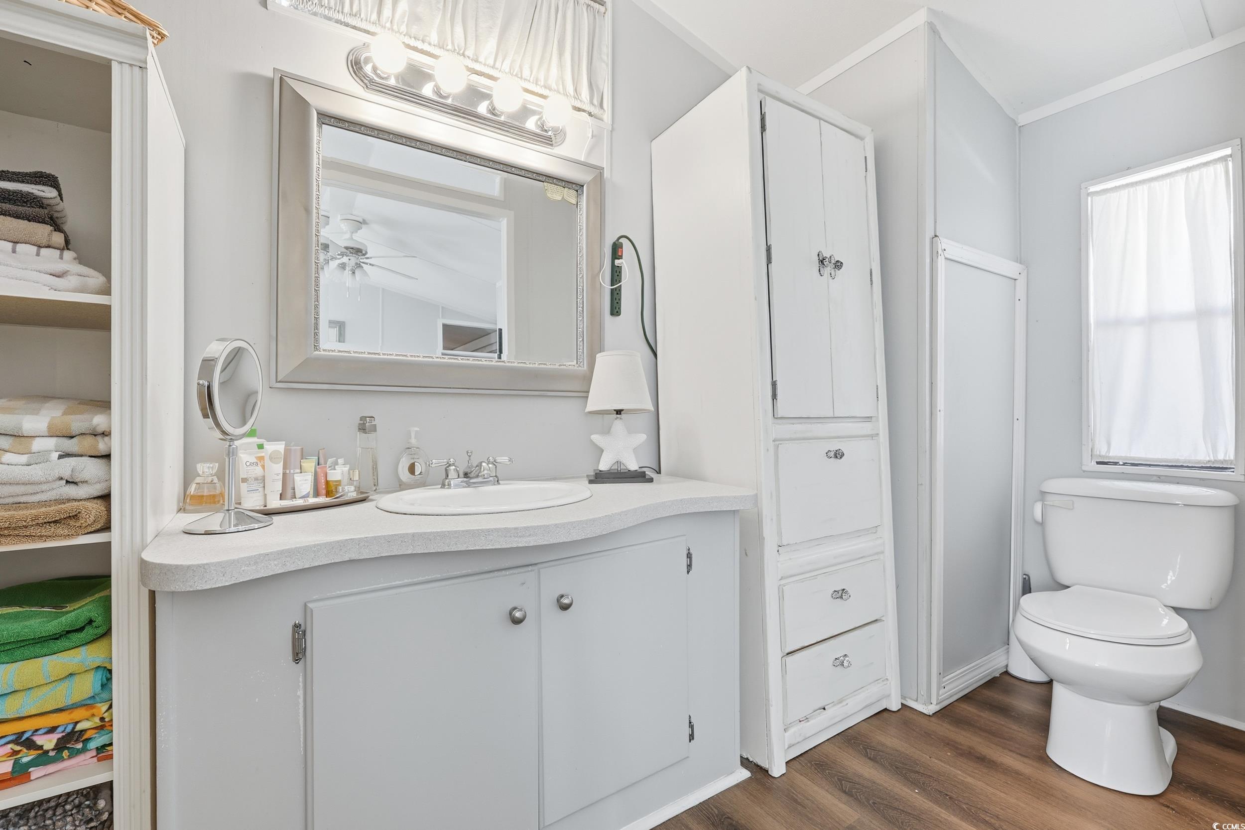 1017 Foxfire Drive North Myrtle Beach, SC 29582 - Photo 17 of 36 Bathroom with dark wood finished floors, vanity, and a closet
