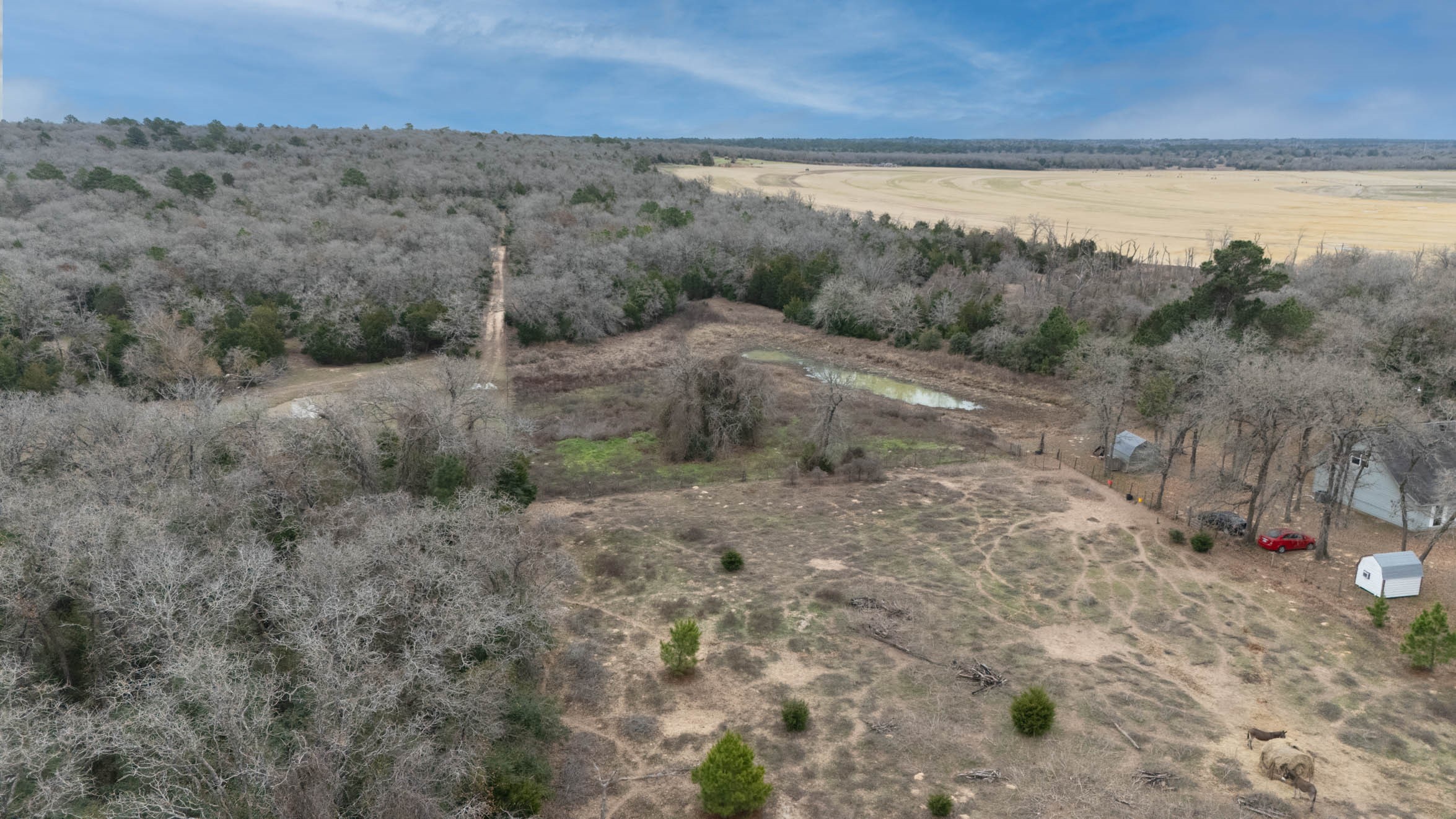 920 Old Potato Road Paige, TX 78659 - Photo 14 of 18