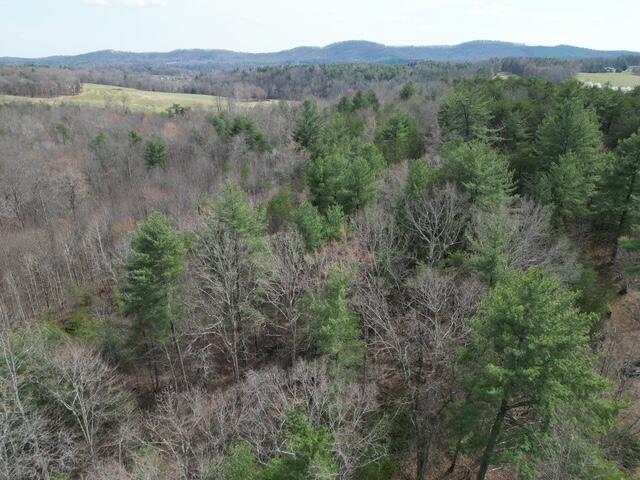 0 Old Ferrum Road Ferrum, VA 24088 - Photo 2 of 7 Wooded Acreage