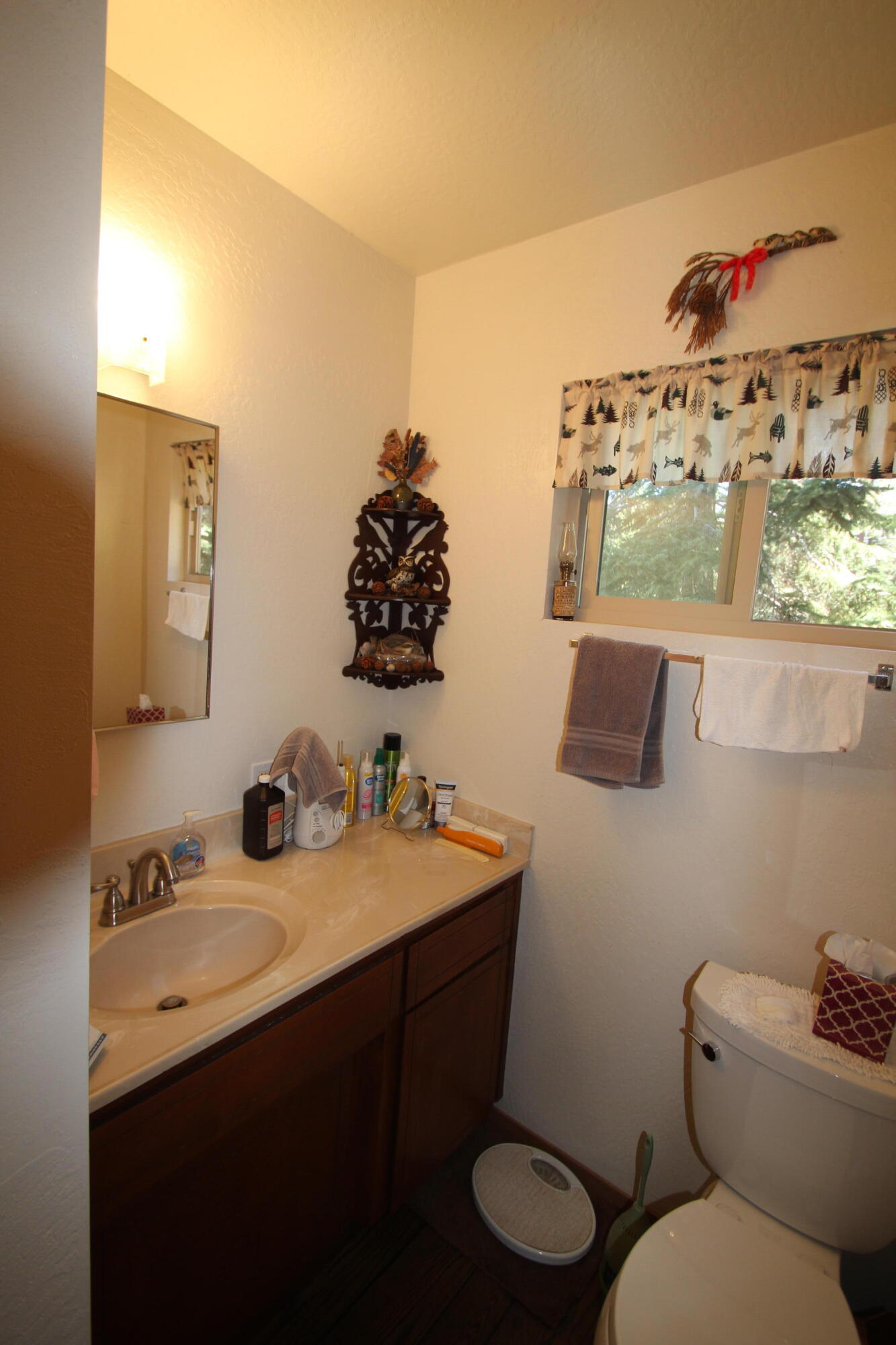 57941 Summit Drive Springville, CA 93265 - Photo 46 of 59 Main level bath