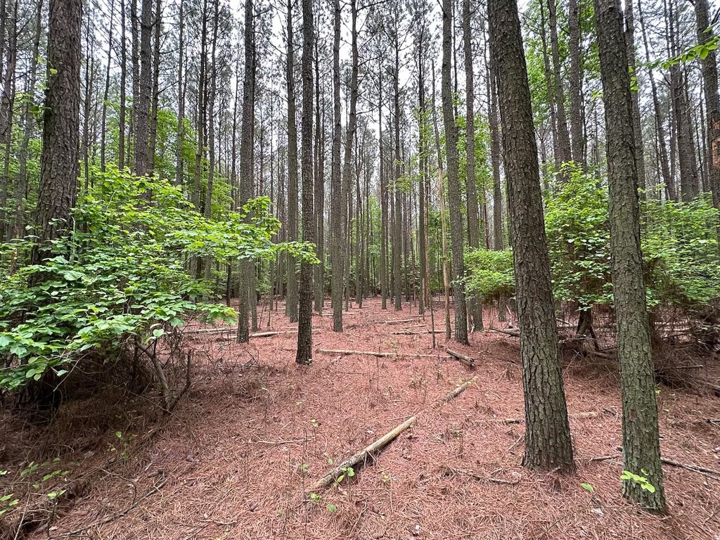 1.75-ac 1.75-ac Kegotank Road, Unit 2 Bloxom, VA 23308 - Photo 16 of 18