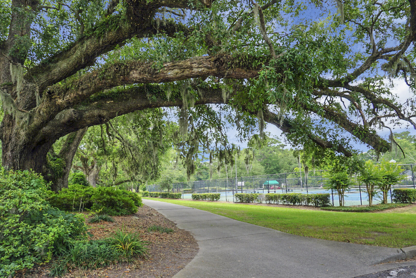 4058 Plantation House Road Summerville, SC 29485 - Photo 32 of 44 100 walkways - Legend Oaks