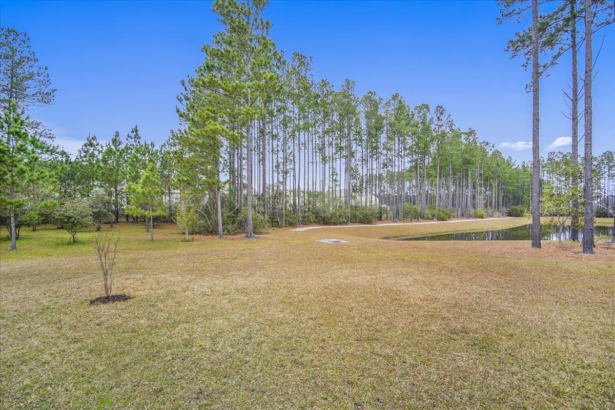 276 Decatur Drive Summerville, SC 29486 - Photo 7 of 38 Exterior-View Of Backyard-DSC08998