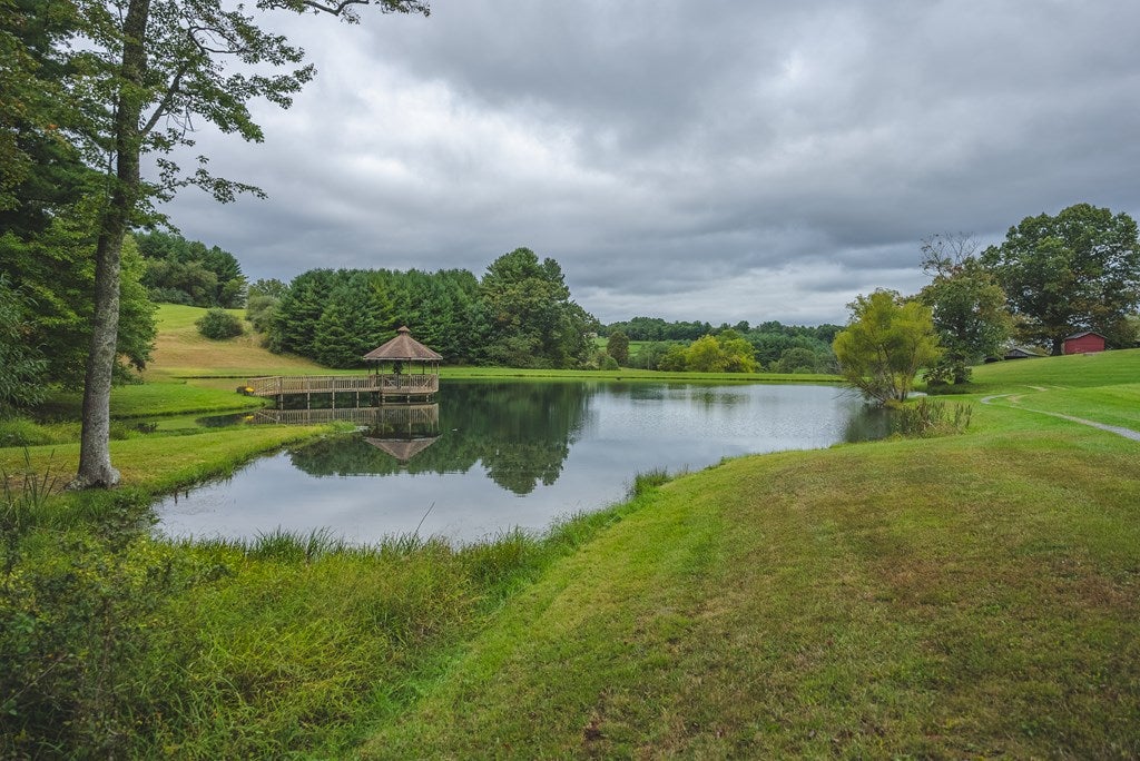 2066 Webbs Mill Road North Floyd, VA 24091 - Photo 15 of 77 Gallery Image 15