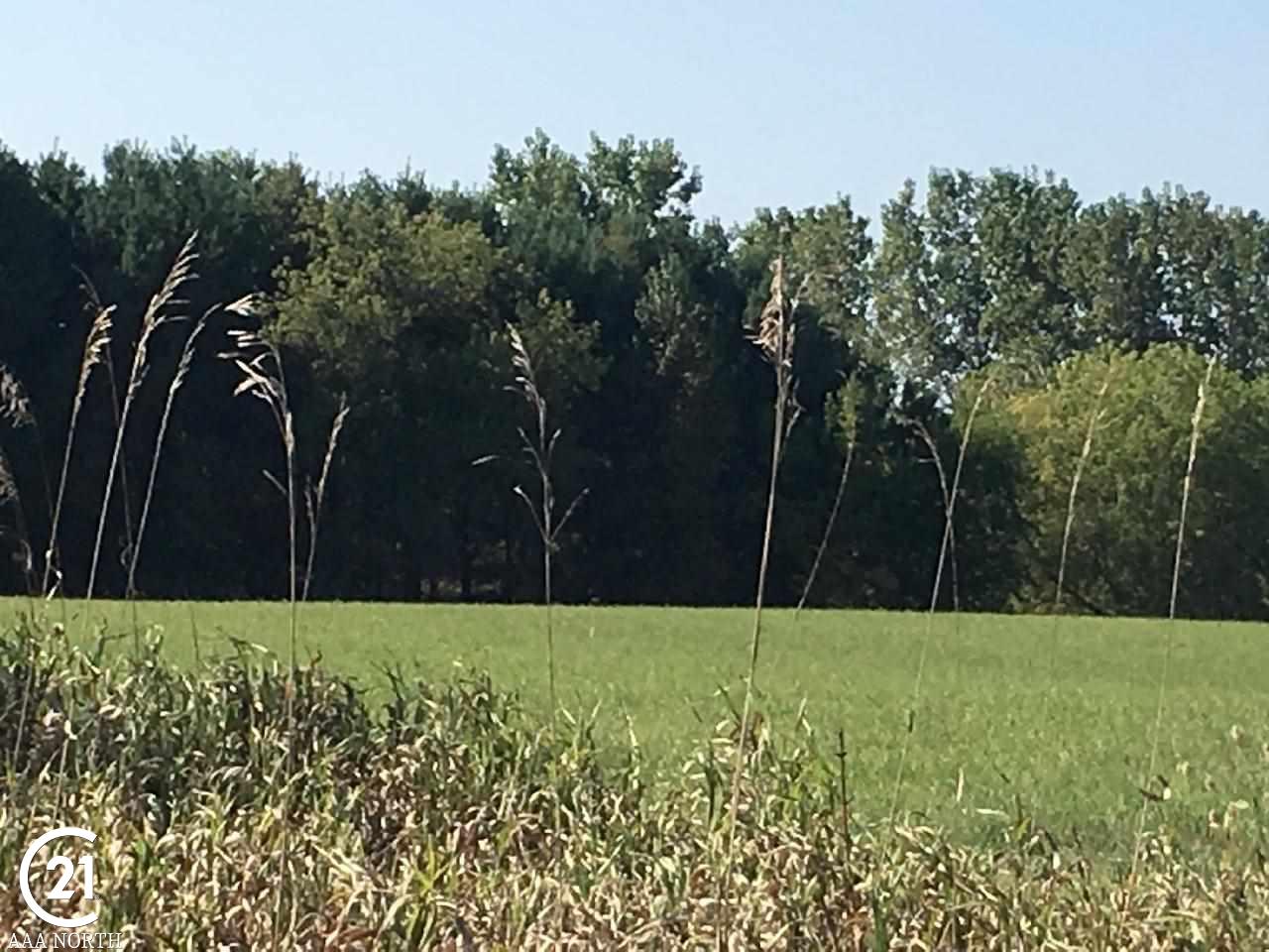 0 Kidder Rd Parcel 3 Romeo, MI 48065 - Photo 10 of 19